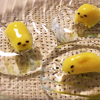 สูตร 'วุ้นไข่ขี้เกียจ' เมนูง่ายๆ ใครๆก็ทำได้ (*≧ω≦)ノ