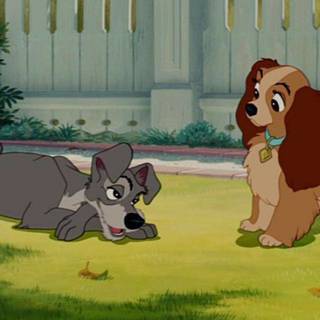 จะเป็นอย่างไร? เมื่อเหล่าสัตว์ใน Disney กลายร่างเป็นคน !!