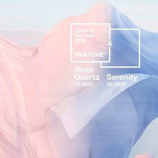Pantone for 2016 โทนสีจากแพนโทนปีนี้ มีอะไรให้เล่นเยอะ!
