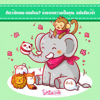 สัตว์ลักษณะแบบไหน? บ่งบอกความเป็นคุณ ฉบับสัตว์ป่า