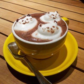 1469682603 1464757318 hello kitten latte art aspirantsg