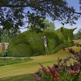 1471583295 ad topiary cats by richard saunders 001