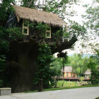 รวม 10 ที่พัก "บ้านต้นไม้" สไตล์รีสอร์ท สุดชิลล์