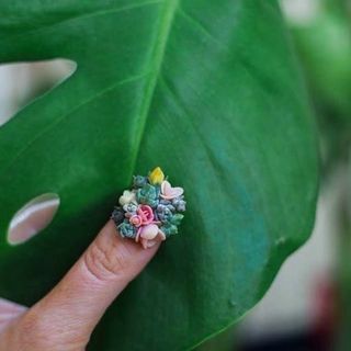 รวมไอเดีย แฟชั่นเครื่องประดับจาก Succulent
