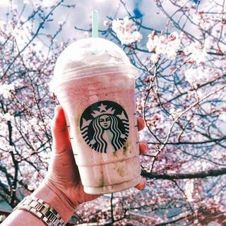 Starbucks ออกเมนูใหม่ Cherry Blossom Frappuccino