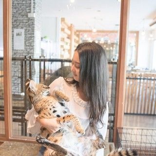 1501571052 the animal cafe 9815