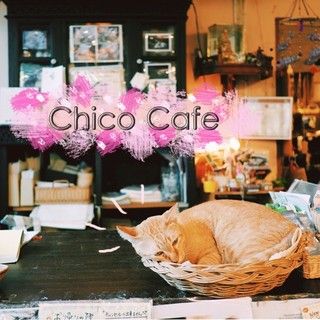 1503046838 chico cafe sukhumvit