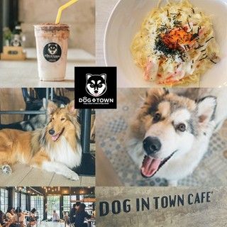 1503046939 cafe dog in town eakkamai