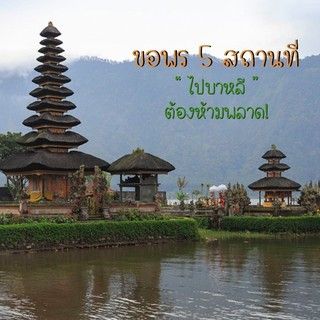 1544501521 w