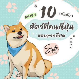 1605462695 cover