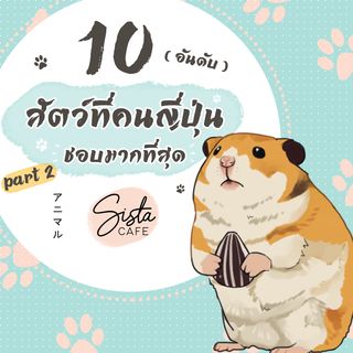 1605462951 cover