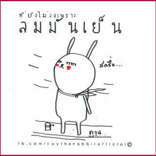 รวมเพจสำหรับ 'สาวโสด' ใน Facebook แซ่บเวอร์ จนต้องบอกต่อ!