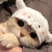 LOOGYEE
