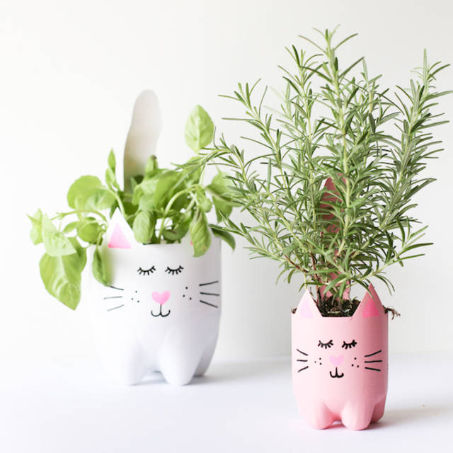 DIY กระถางปลูกต้นไม้แมวเหมียว