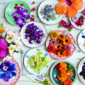 Icon 1466228031 flower interior p4