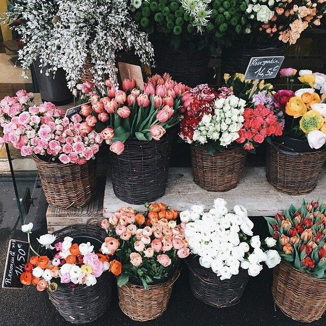 ดอกไม้ บอกรักแม่ วันแม่