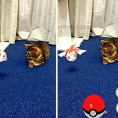 Icon pets can see pokemon go japan 2 57961c30d210c  605