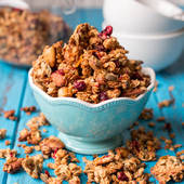 Icon 1436240297 cranberry nut granola square