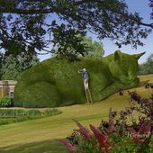 Icon ad topiary cats by richard saunders 001