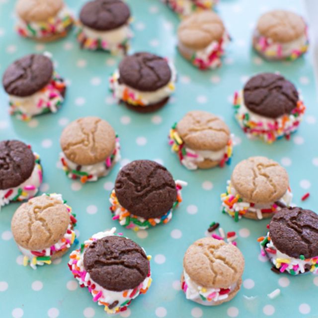 13 mini graham cracker frozen yogurt sandwiches kid snack