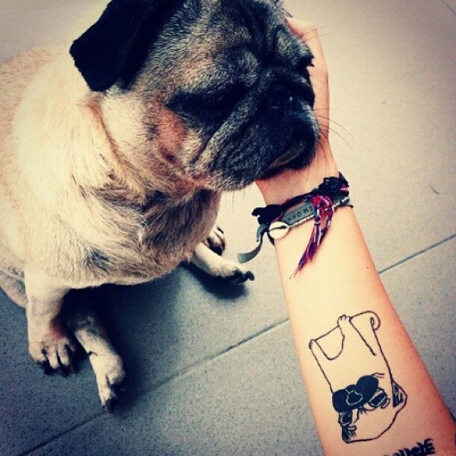 Outline pug tattoo