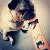 Icon outline pug tattoo