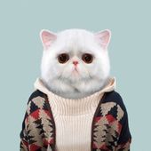 Icon 1473685587 animals dressed like humans zoo porraits yago partal 55 57d65d360deca  880