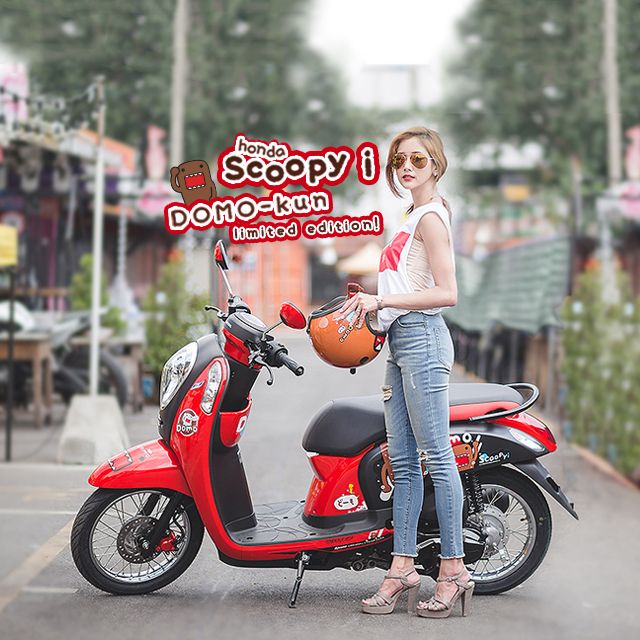 Cover scoopy