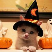 Icon cute cat costumes 03