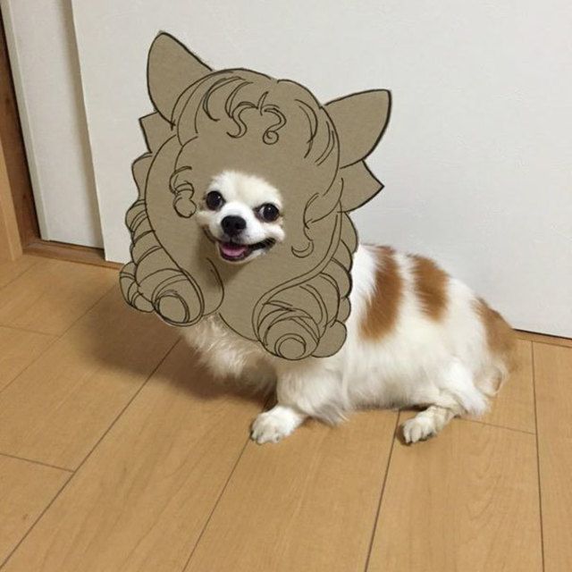 Dog costume cardboard cutouts myouonnin 14 580f5407a0c93  605