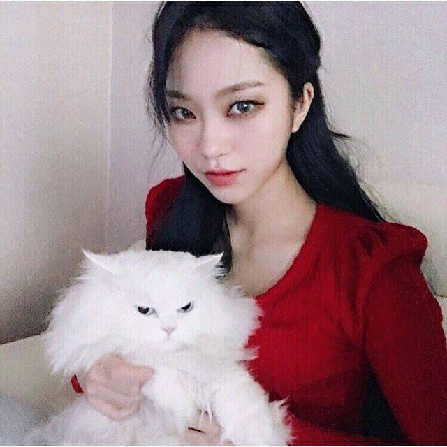 ทาสแมว ulzzang เกาหลี สาวเกาหลี สไตล์เกาหลี แมว เหมียว 
