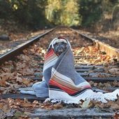 Icon pug norm adventures jeremy veach 70 5821a26750a31  700
