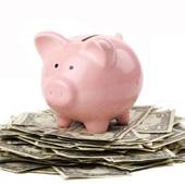 Icon 1438172691 money piggy bank.jpg