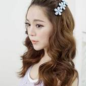 Icon 122124101