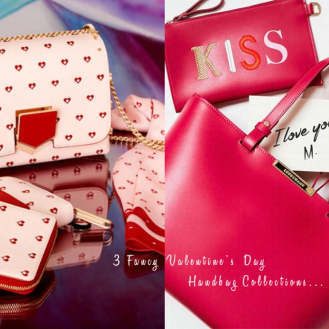 Pink handbag cover3