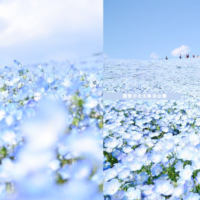 Japan fb cover