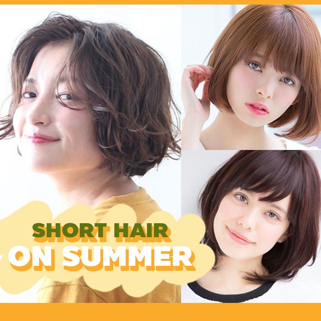 Shorthair00