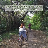 Icon cover