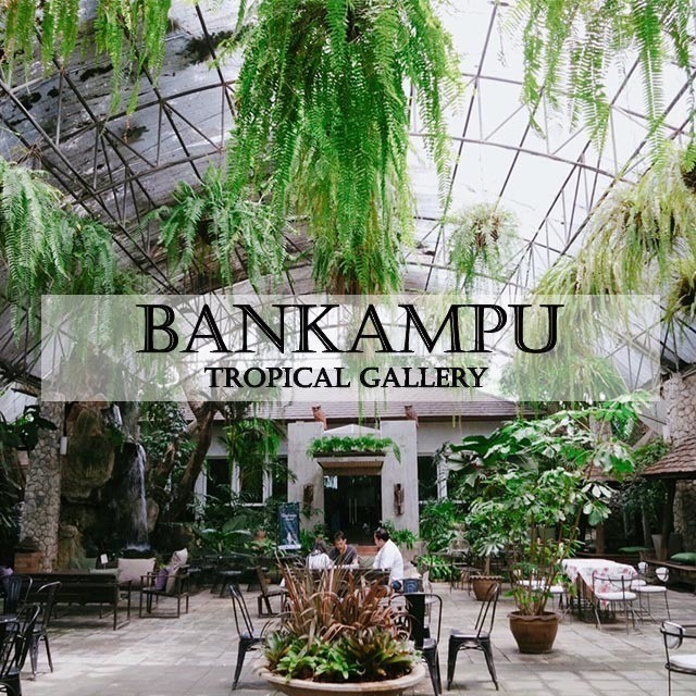 จิบกาแฟชิลล์ๆ ใต้ร่มเงาไม้ ที่ 'Bankampu Tropical Gallery'