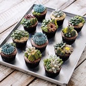 Icon succulent terrarium cakes cupcakes ivenoven 1 58da6d1b71c3b  700