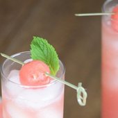 Icon watermelon mint cocktail