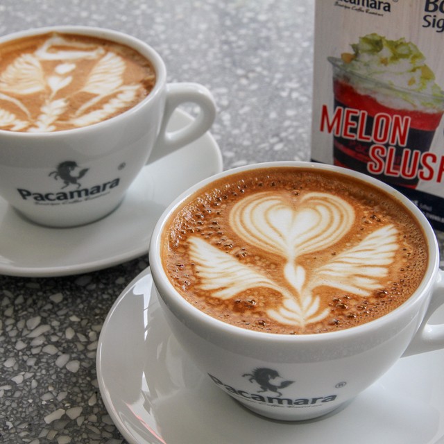ชวนสาวๆ ไปจิบกาแฟคุณภาพดีที่คาเฟ่สุดเก๋ย่านทองหล่อ 'Pacamara Coffee Roasters'