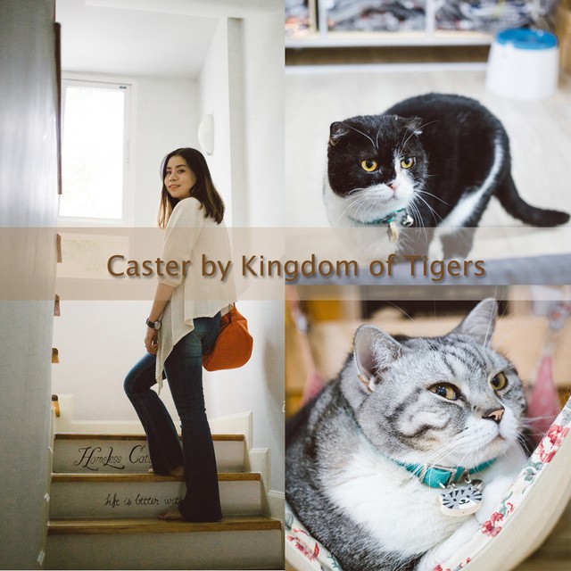 Caster cover 02