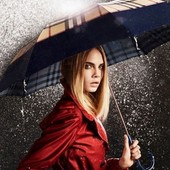 Icon f40b38a7f0ae7300ce224c3113f210b6 l