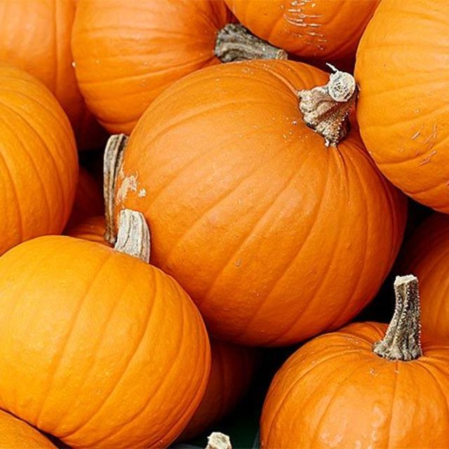 Top 5 health benefits of pumpkin keep fit kingdom 770x472