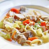 Icon turkey soup horiz a 1600