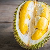 Icon durian 2