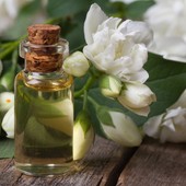 Icon jasmine essential oil