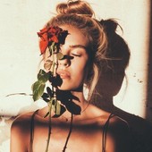 Icon img 8364