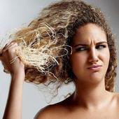 Icon is olive oil an effective solution for dry hair 1